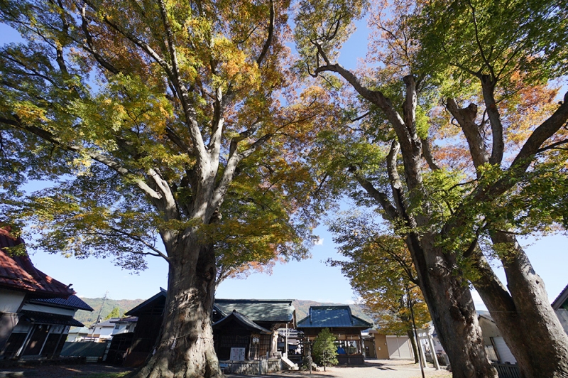 南宮神社